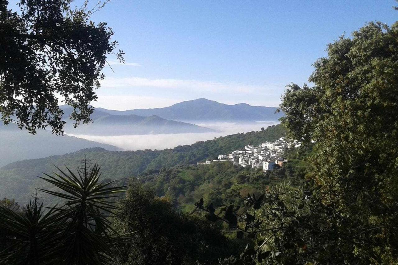 Casa El Chaparral Songbird Mountain Lägenhet Benadalid Exteriör bild