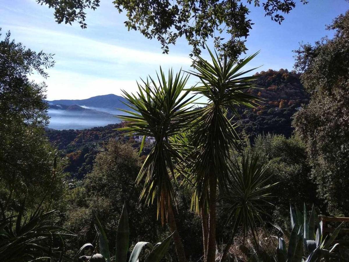 Casa El Chaparral Songbird Mountain Lägenhet Benadalid Exteriör bild