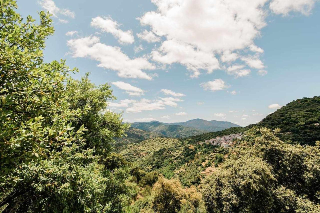 Casa El Chaparral Songbird Mountain Lägenhet Benadalid Exteriör bild