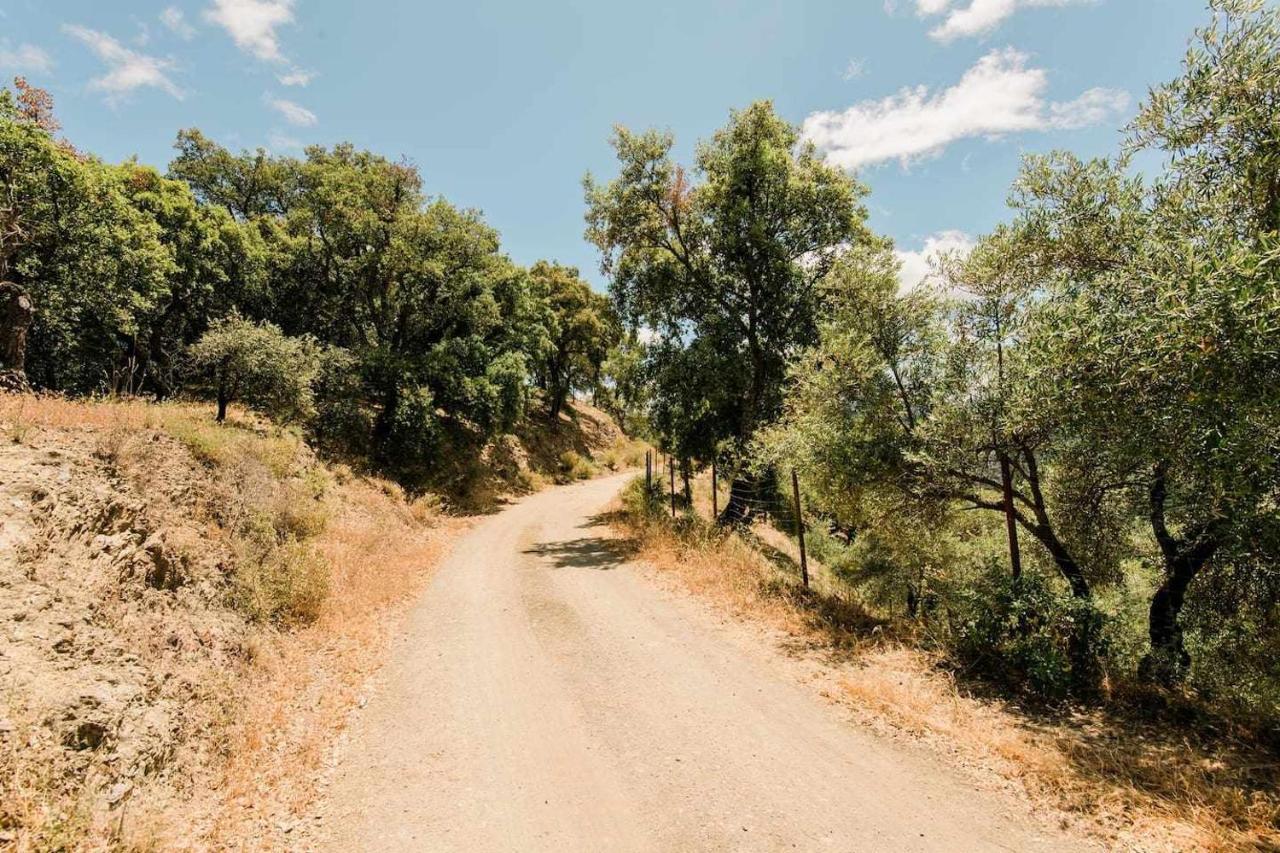 Casa El Chaparral Songbird Mountain Lägenhet Benadalid Exteriör bild