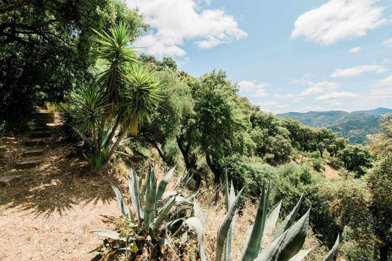 Casa El Chaparral Songbird Mountain Lägenhet Benadalid Exteriör bild